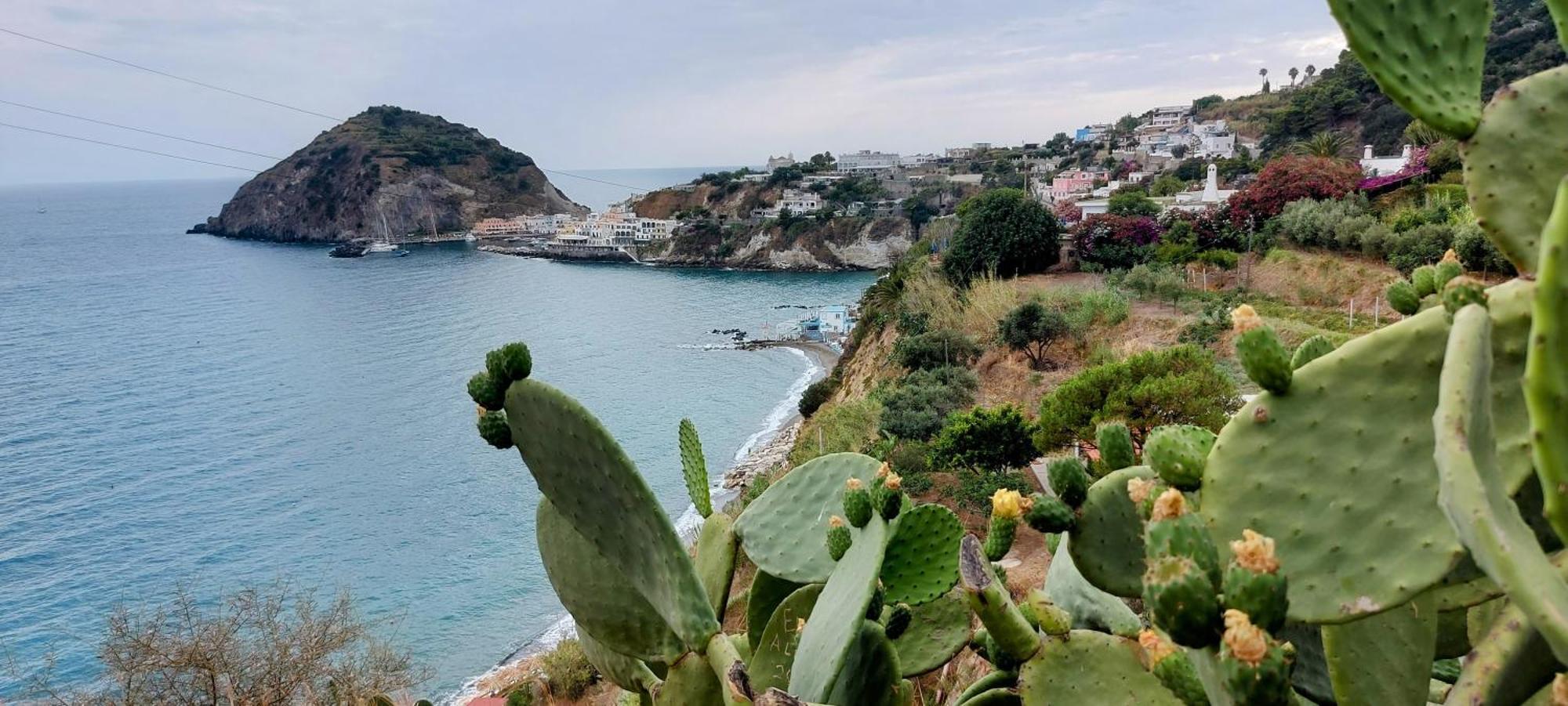 Villa Symphony Sea View Forio di Ischia Екстериор снимка